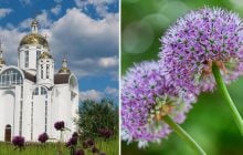 5 августа: какой церковный праздник, чем нужно поделиться с соседями, чтобы не болеть
