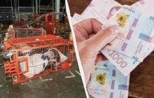"Нова пошта" втратила посилку за 40 тисяч: чому компенсували лише 500 гривень