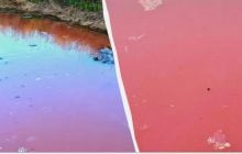На юге Одесской области водоемы окрасились в красный цвет: что произошло (видео)