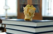 Чи можна їсти огризок яблука: що станеться, якщо проковтнути насіння