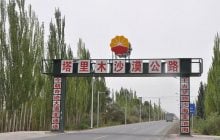 Китай оточив пустелю деревами: через роки вона почала поглинати більше CO₂
