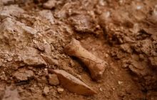 Нові скам'янілості в Іспанії вказують на канібалізм перших європейців: що знайшли вчені