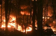 Росія знищує українське сільське господарство і саму природу України, - Forbes