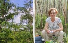 На месте Каховского водохранилища происходит то, чего нет больше нигде в мире, - ученые
