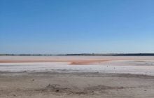 Жара почти полностью высушила уникальное розовое озеро в Николаевской области (фото)