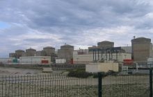 Нашествие медуз привело к остановке одной из крупнейших АЭС Франции