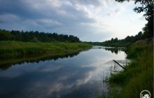 У Чорнобильській зоні знайшли рідкісних риб (фото)