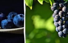 Лохина чи виноград: який фрукт корисніший і що краще обрати