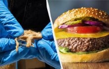 И мясо есть, и свиньи живы: как сегодня делают искусственные заменители пищи