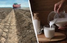 Українське агро повертається у 90-ті: експертка попередила про важкі часи