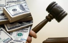 В Саудовской Аравии сокола купили за $346 тысяч: что в нем особенного (видео)