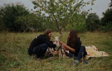"Каждая жизнь ценна": в Украине покажут документалку о животных с прифронтовых территорий