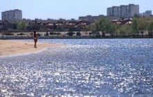 Останній акорд літа: завтра у Києві вдарить 35-градусна спека