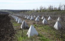 Украинские фортификации стали неожиданным препятствием для ВСУ, – аналитик