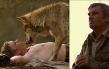 Современный "Маугли" из Испании умер, так и не вернувшись к волкам