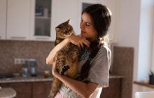7 порід котів, які стануть вашою тінню: будуть ходити по пʼятах