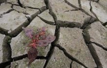 Дождливая зима больше не спасает Европу от летней засухи: ученые объяснили причину