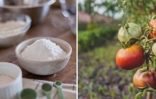 Не лише для випічки: 7 способів використати кукурудзяний крохмаль на городі