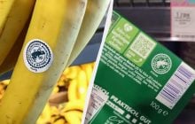 Українці зустрічають знак жаби на продуктах: що він означає і чи безпечні ці товари