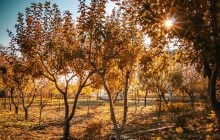 Зустрічаємо осіннє рівнодення: 3 обряди на щастя і порада для кожного знака Зодіаку