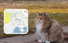 В Украине объявили I уровень опасности: какие области зацепит непогода (карта)