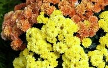 11 вересня по всій Україні стане свіжіше (карта)