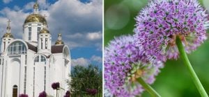 5 августа: какой церковный праздник, чем нужно поделиться с соседями, чтобы не болеть