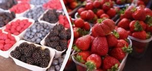 Замораживаю ягоды так - зимой пахнут, как с грядки, не превращаются в кашу: простой трюк