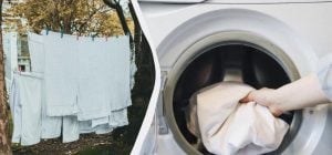 Две капли на ватный диск - и в барабан: вещи белоснежные, как будто новые