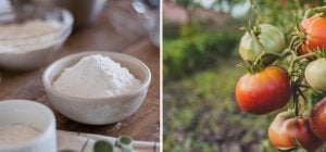 Не лише для випічки: 7 способів використання кукурудзяного крохмалю на городі
