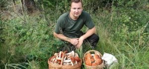 Опытные грибники назвали 3 признака грибного места в лесу: где больше всего грибов