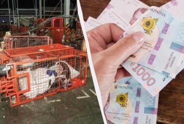 Нова пошта втратила посилку за 40 тисяч: чому компенсували лише 500 гривень