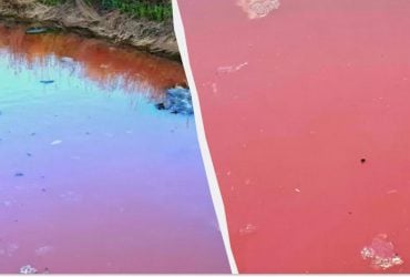 На півдні Одещини водойми забарвилися в червоний колір: що сталося (відео)