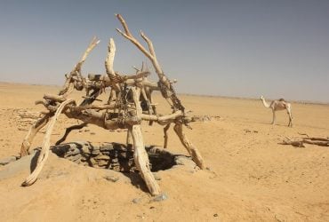 Під Сахарою знайшли воду, яка пролежала там майже мільйон років