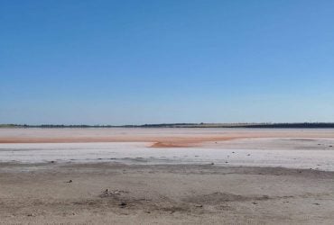 Жара почти полностью высушила уникальное розовое озеро в Николаевской области (фото)