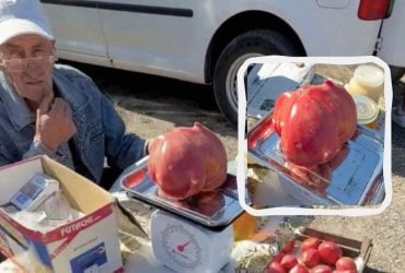 Украинец вырастил помидор-великан и ошарашил его ценой (видео)