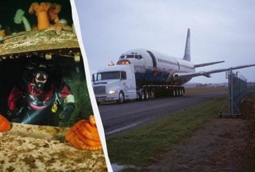 Затоплений Boeing 737 став новим рифом та популярним місцем для дайвінгу (відео)