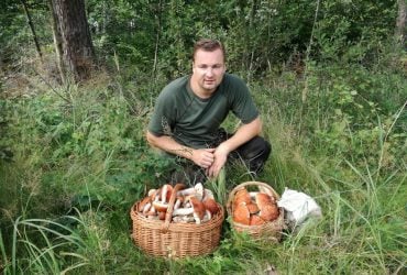 Досвідчені грибники назвали 3 ознаки грибного місця в лісі: де найбільше грибів