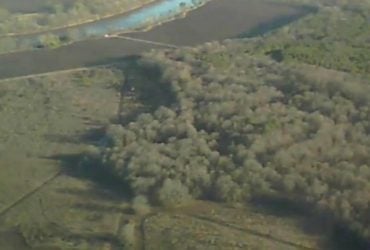 На 2 000 років старший за піраміди: у болотах Луїзіани виявили загадковий комплекс