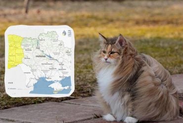 В Украине объявили I уровень опасности: какие области зацепит непогода (карта)