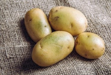 Безопасно ли есть зеленый картофель: ответ эксперта вас удивит