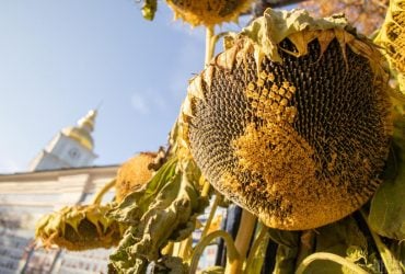31 серпня у Києві буде найтепліший день тижня