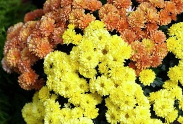 11 вересня по всій Україні стане свіжіше (карта)