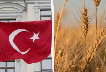 Турция объявила о своём плане по возобновлению экспорта зерна через Чёрное море