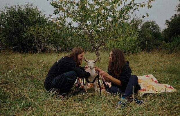 "Кожне життя цінне": в Україні покажуть документалку про тварин з прифронтових територій