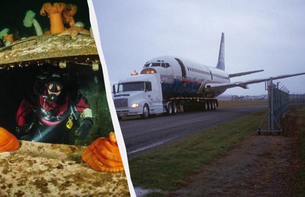 Затоплений Boeing 737 став новим рифом та популярним місцем для дайвінгу (відео)
