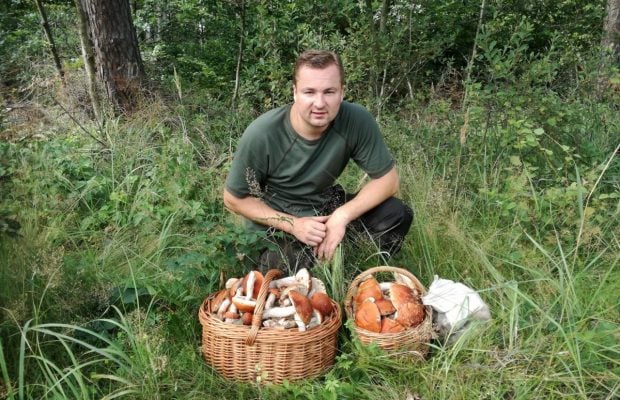Досвідчені грибники назвали 3 ознаки грибного місця в лісі: де найбільше грибів
