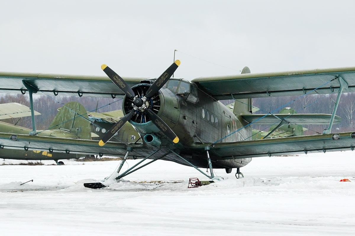 РФ объявила о возрождении самолета Ан-2: в каком виде он поступит в серийное производство