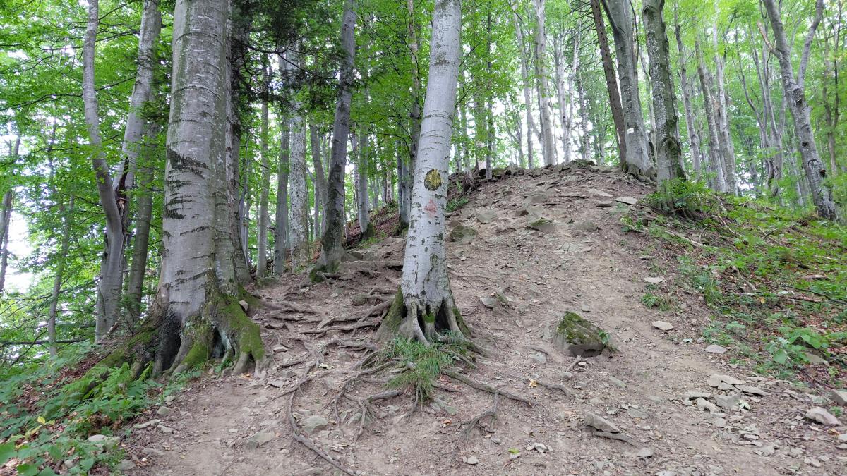 Похід на Лопату: закриваємо сезон хайкінгу на місці легендарного бою УПА Похід на Лопату: закриваємо сезон хайкінгу на місці легендарного бою УПА