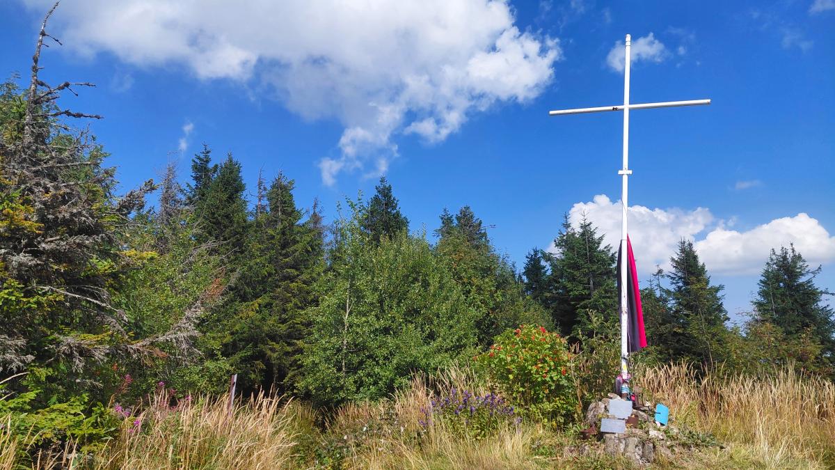 Похід на Лопату: закриваємо сезон хайкінгу на місці легендарного бою УПА Похід на Лопату: закриваємо сезон хайкінгу на місці легендарного бою УПА